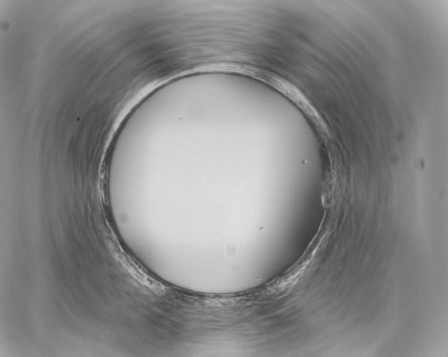 X0000059040908200510281539