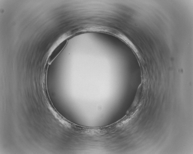 X0000059040909200510281539