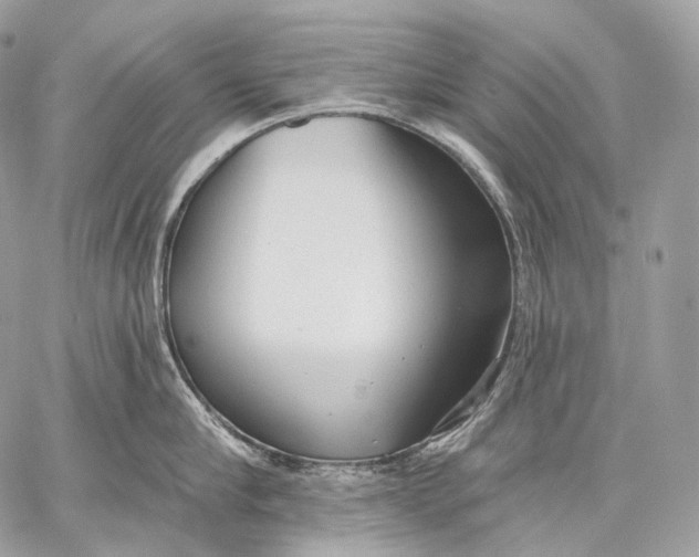 X0000059040910200510281539