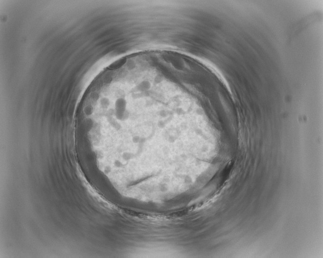 X0000059040911200510281539