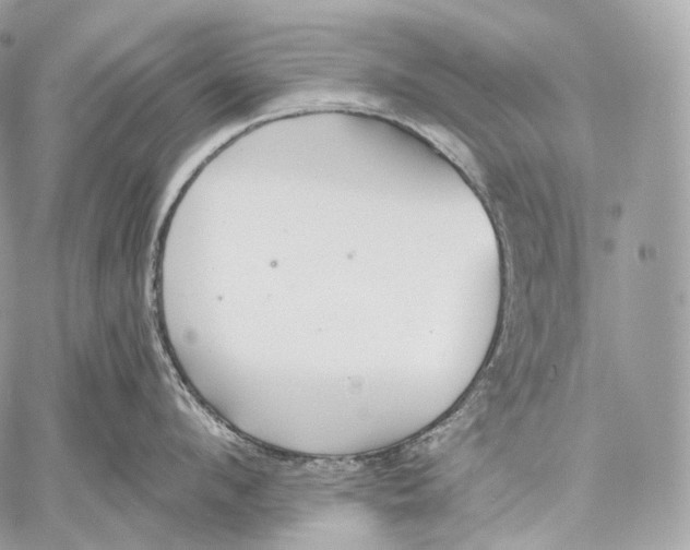 X0000059040912200510281539