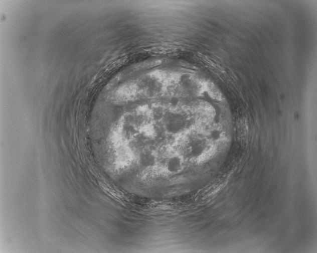 X0000059040913200510281538