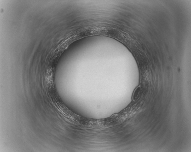 X0000059040914200510281538