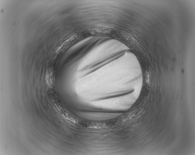 X0000059040915200510281538