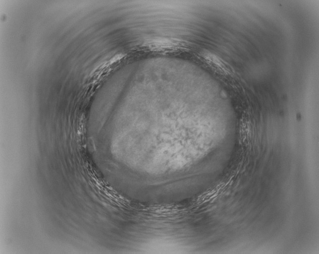 X0000059040917200510281538