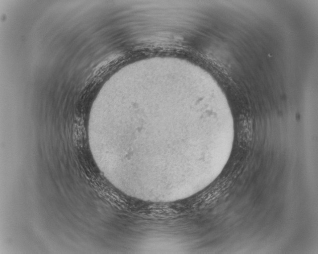 X0000059040918200510281538