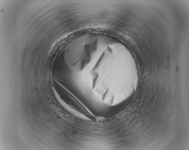 X0000059040920200510281538