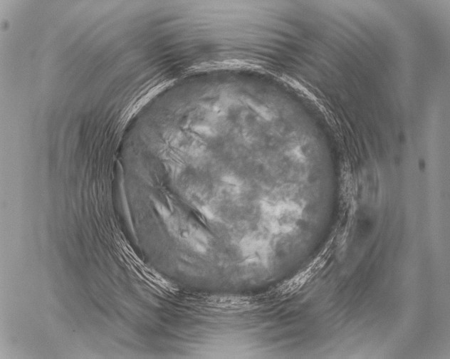 X0000059040921200510281538