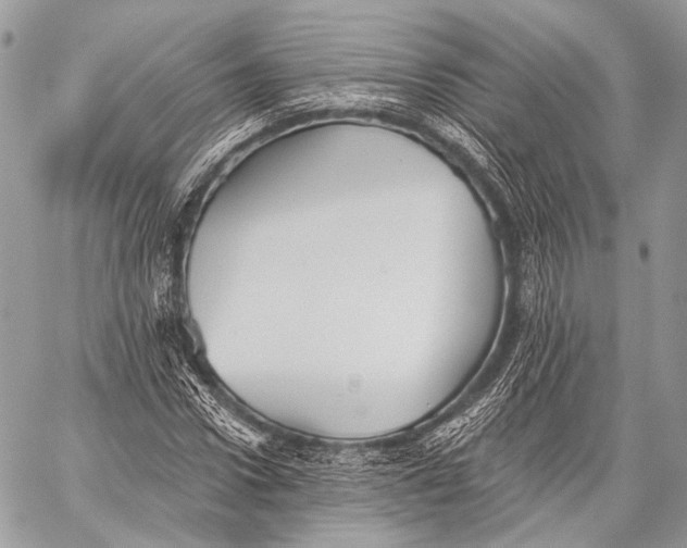 X0000059040922200510281538