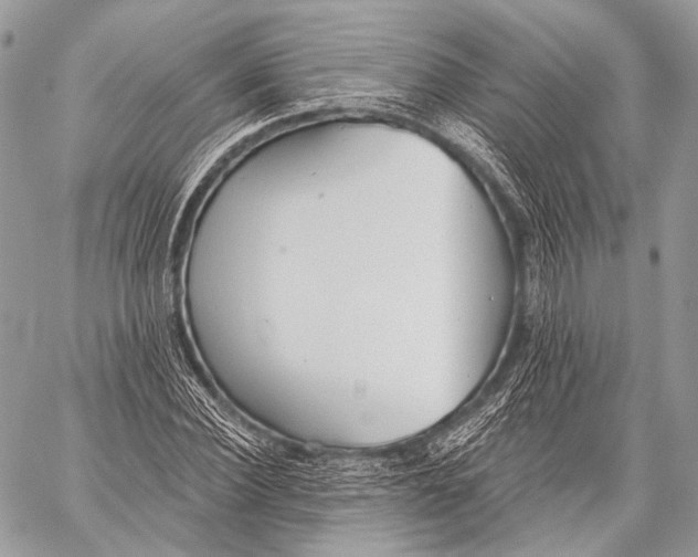 X0000059040924200510281538