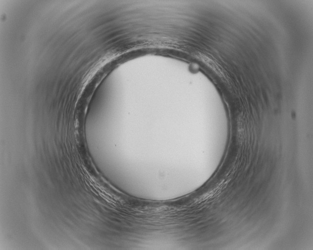 X0000059040926200510281538