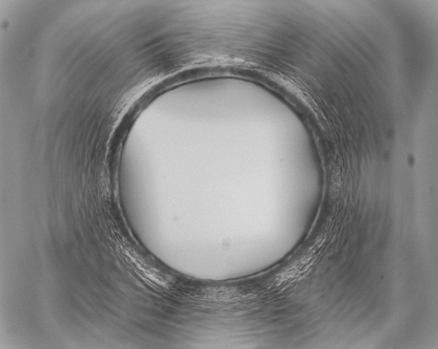 X0000059040927200510281538