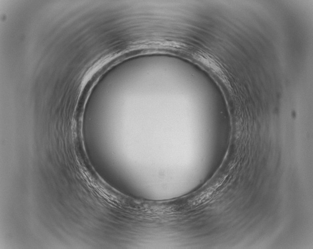 X0000059040928200510281538