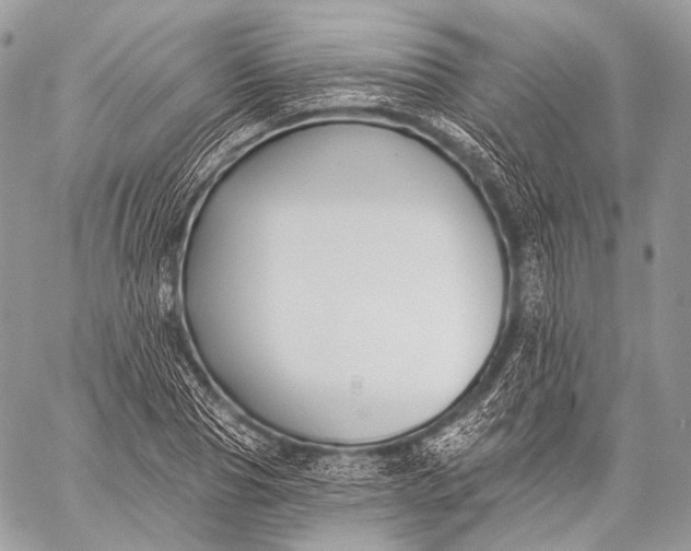 X0000059040929200510281538