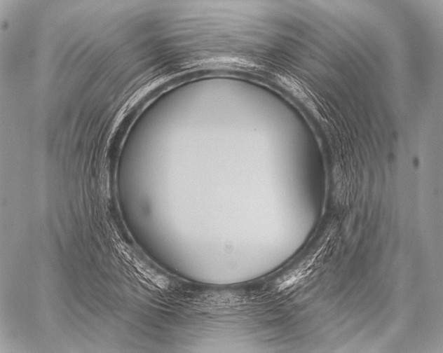 X0000059040931200510281538