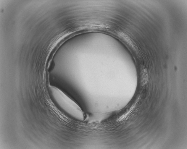 X0000059040932200510281538