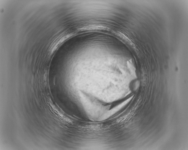 X0000059040937200510281538