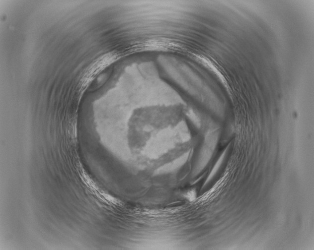 X0000059040938200510281538