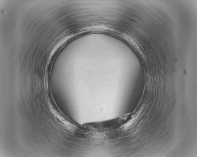 X0000059040939200510281538