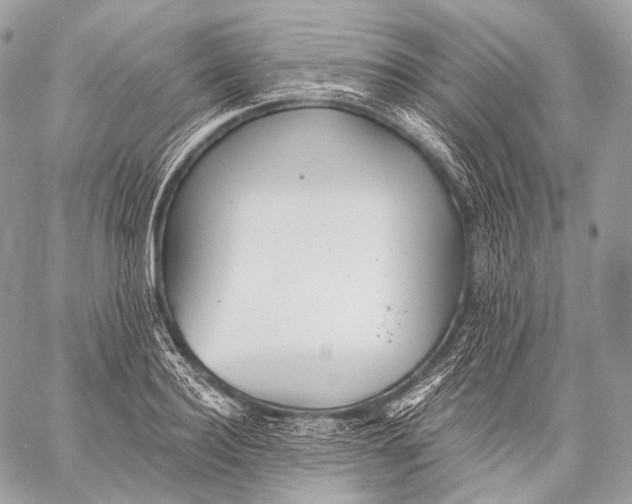 X0000059040940200510281538