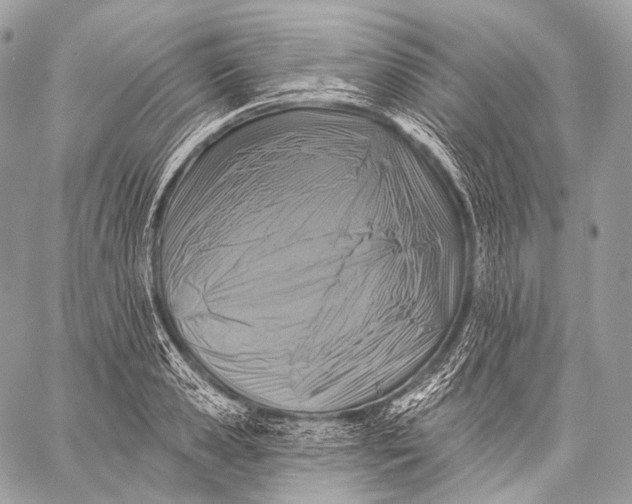 X0000059040941200510281538