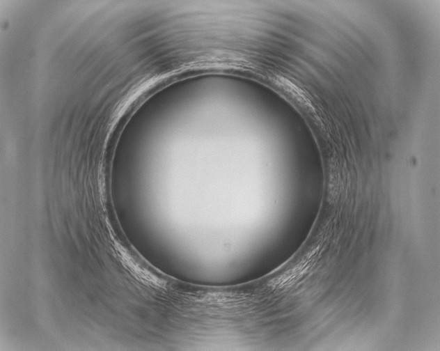 X0000059040942200510281538