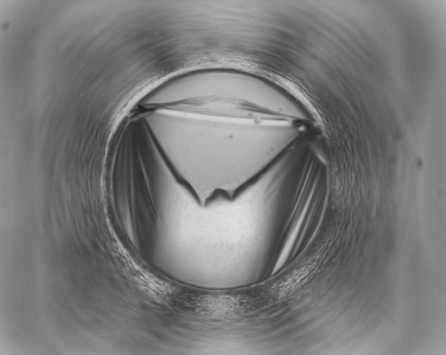 X0000059040943200510281538