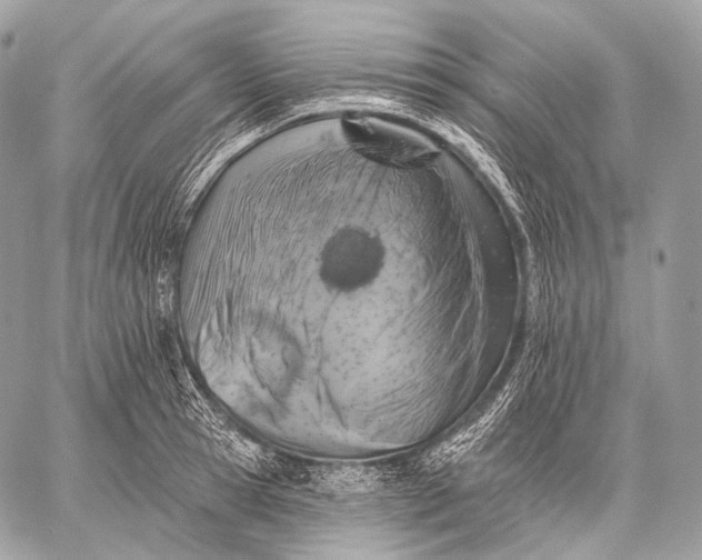 X0000059040945200510281539