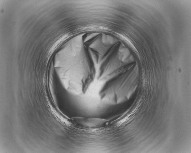 X0000059040946200510281539