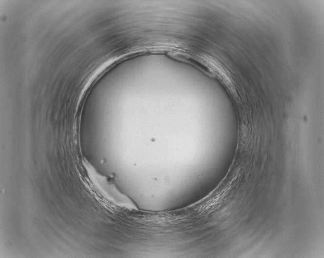 X0000059040948200510281539