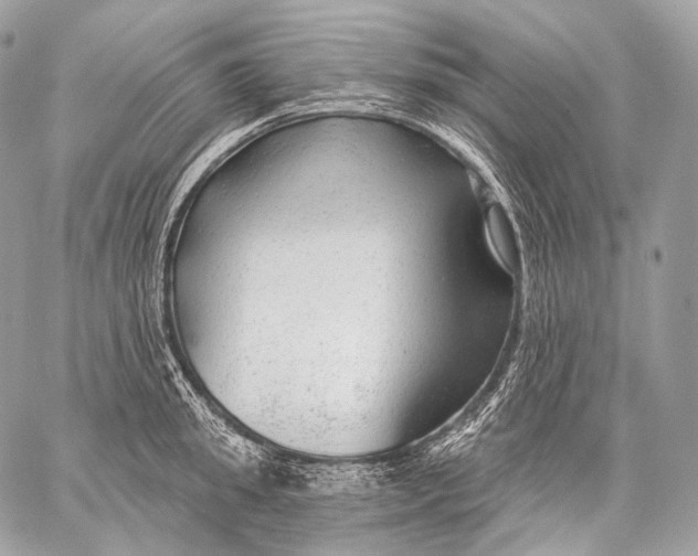 X0000059040949200510281539