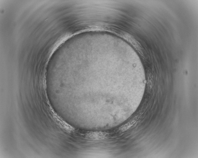 X0000059040950200510281539