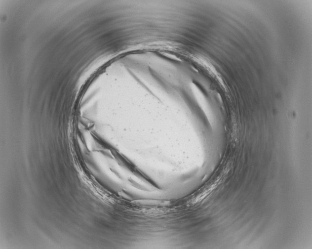 X0000059040952200510281539