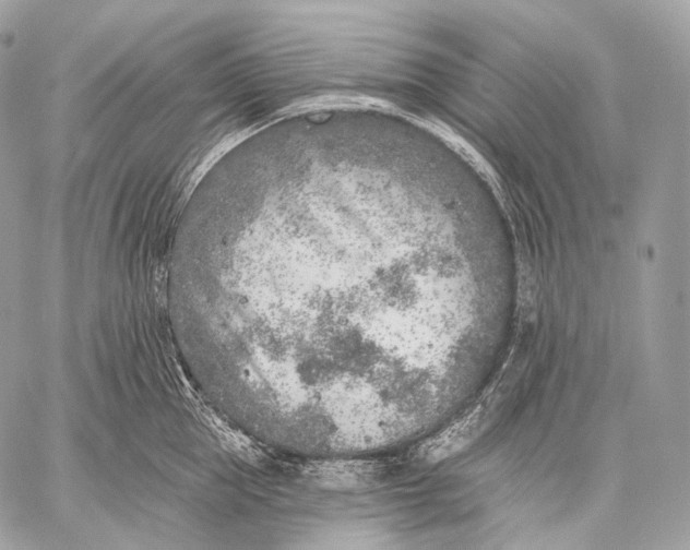 X0000059040953200510281539