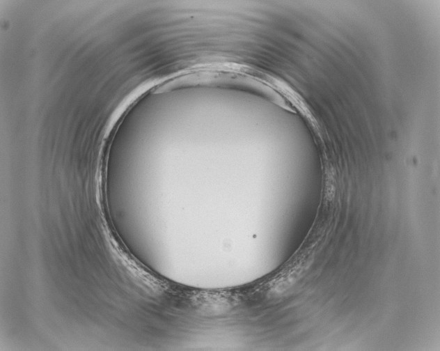 X0000059040955200510281539