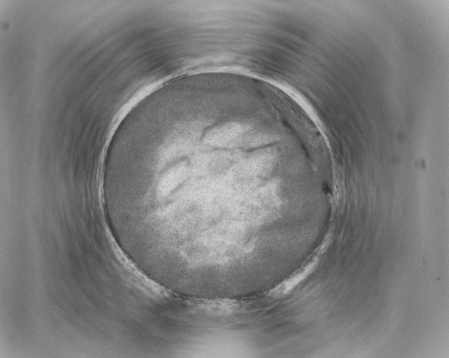 X0000059040957200510281539