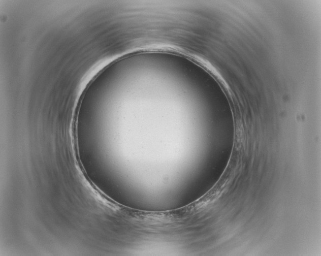 X0000059040959200510281539