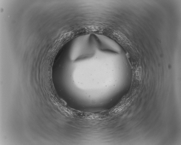 X0000059040961200510281538