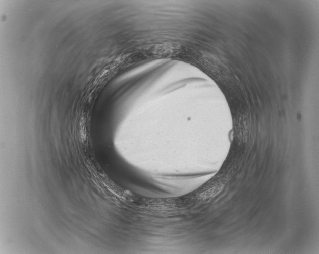 X0000059040962200510281538