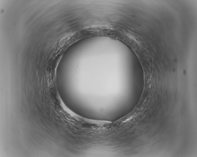 X0000059040965200510281538