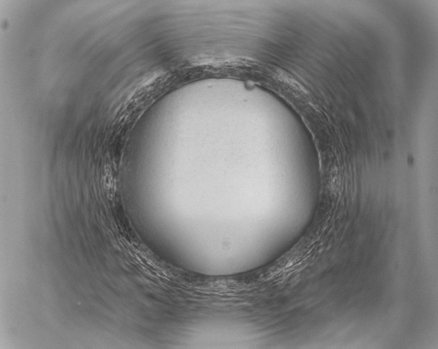 X0000059040966200510281538