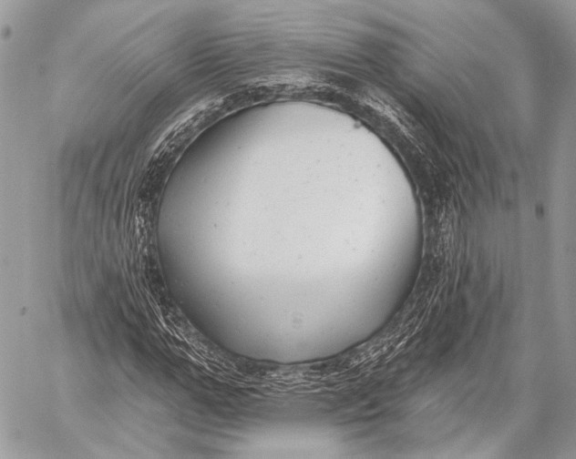 X0000059040967200510281538