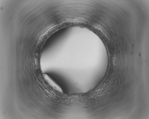 X0000059040968200510281538