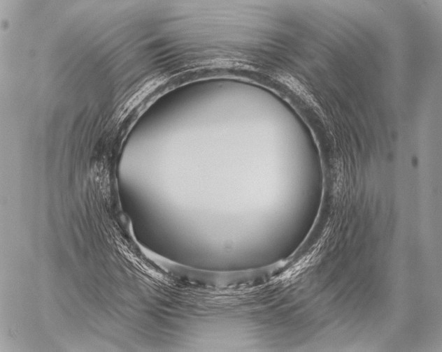 X0000059040969200510281538