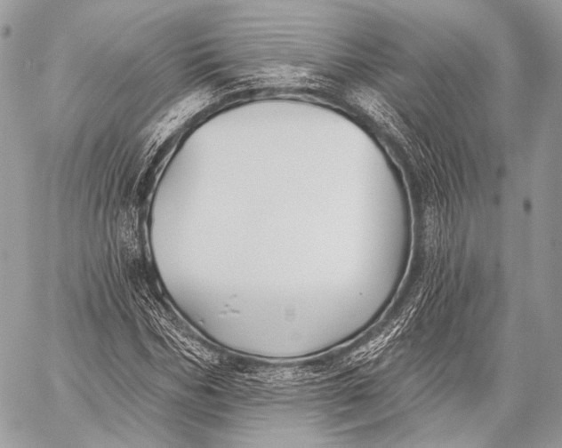 X0000059040970200510281538