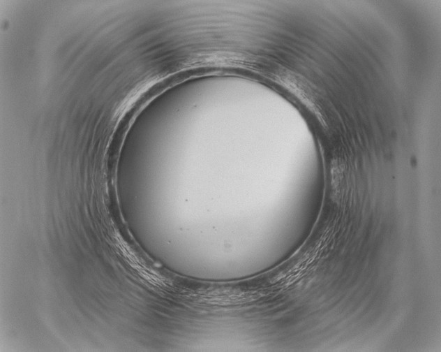 X0000059040972200510281538