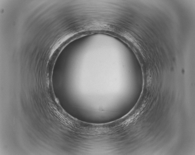 X0000059040973200510281538