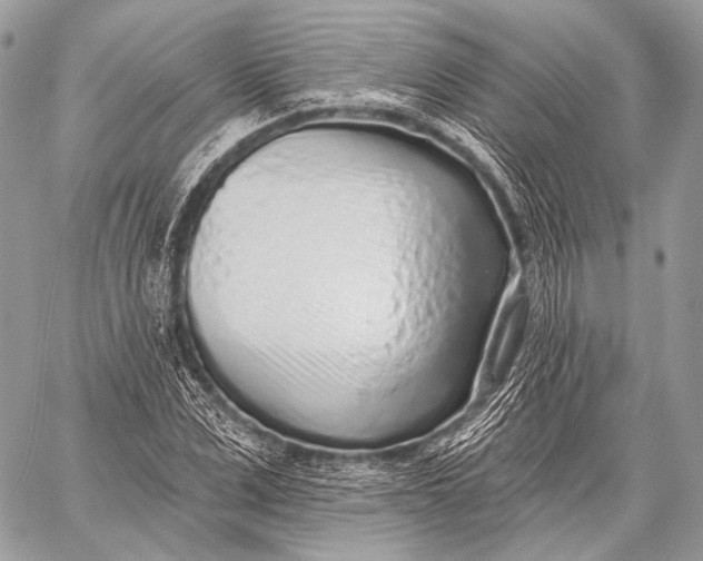 X0000059040975200510281538