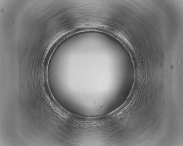 X0000059040976200510281538