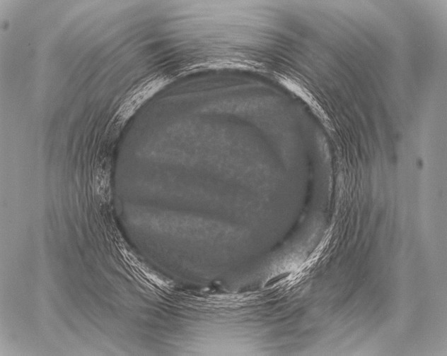 X0000059040977200510281538